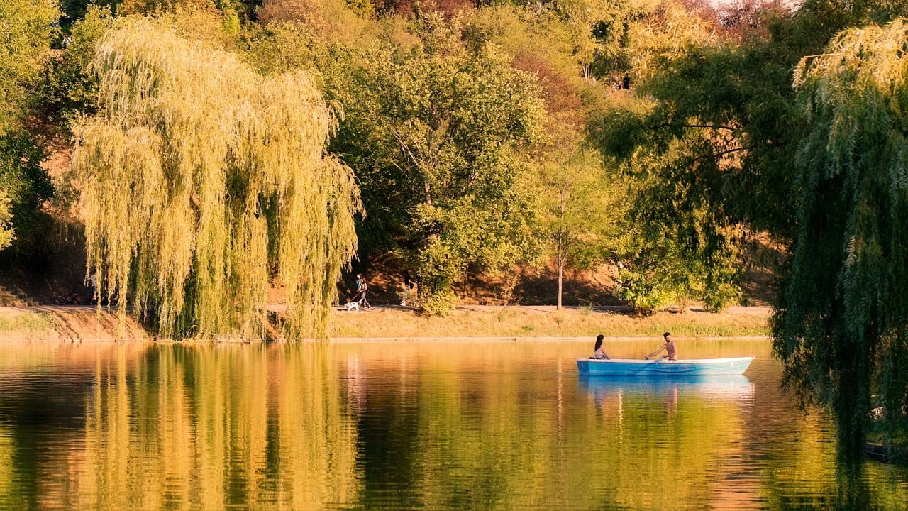 An intricate, glowing schematic of a human brain integrated with highly advanced cybernetic implants, connected by luminous data streams to an unseen network. The overall feel is organic and mechanical harmony.